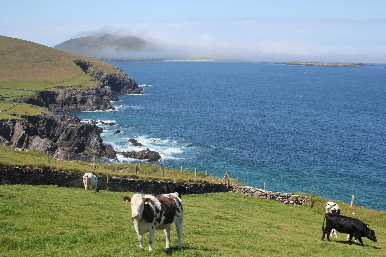 Dingle Courtyard Cottages 4 Bed By Trident Holiday Homes Exterior foto